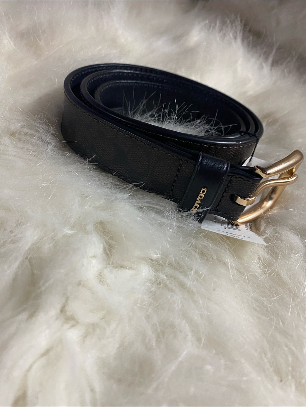 Coach Mini Signature  Leather Belt